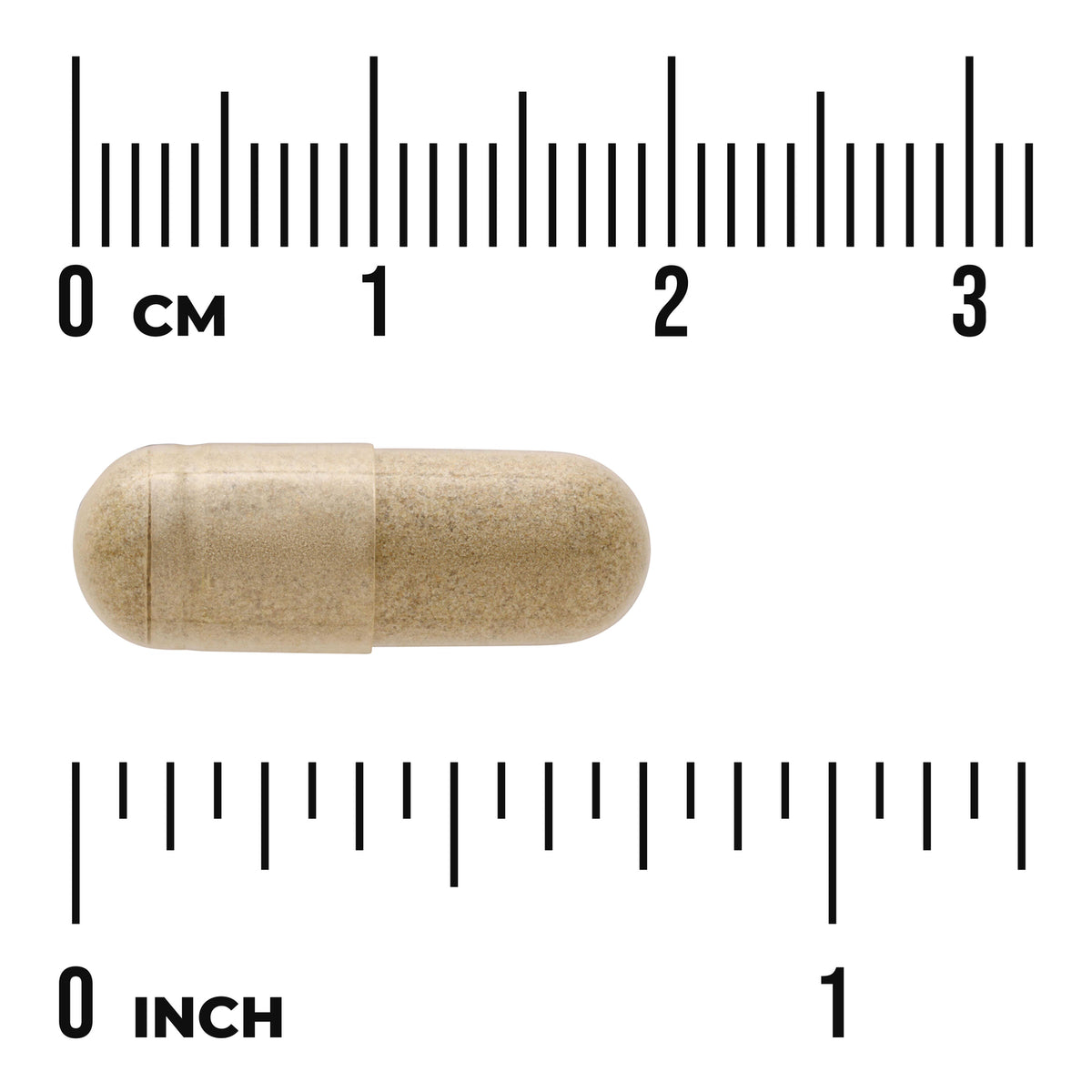 SW1265 | Beige capsule on centimeter and inch rulers showing scale and visible text '0 CM' and '0 INCH'