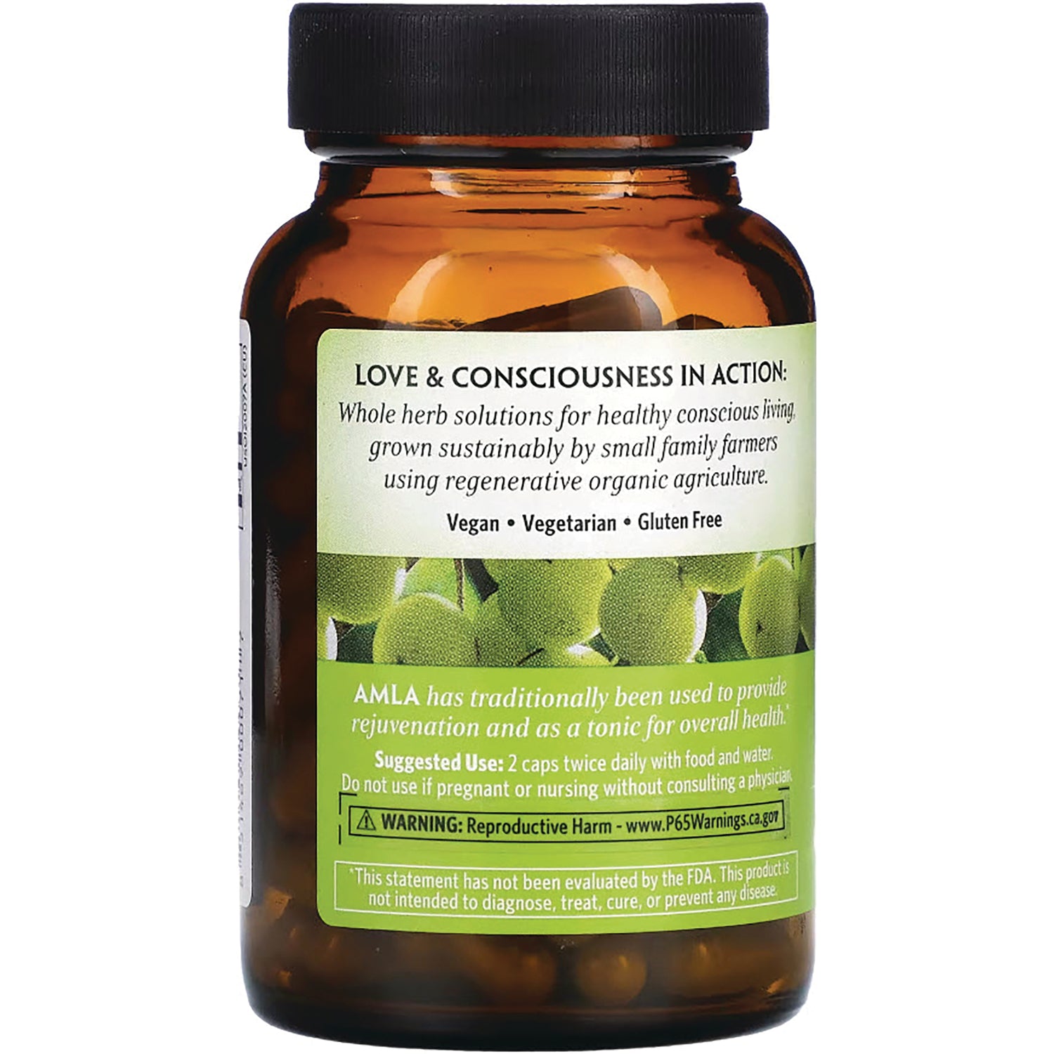 RGN041 | Back of amber supplement bottle label with LOVE & CONSCIOUSNESS IN ACTION, Vegan  Vegetarian  Gluten Free, suggested use and warning
