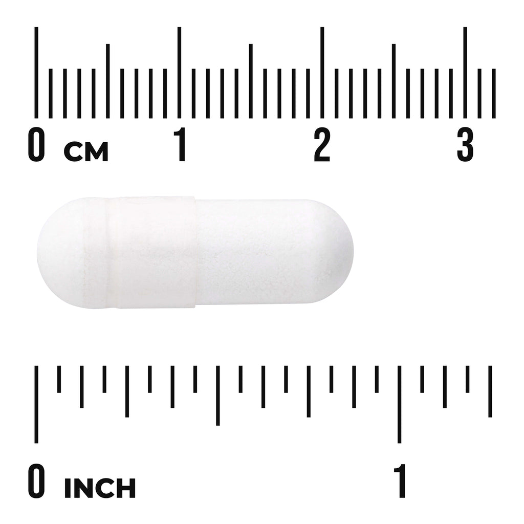SW808 | White capsule with scale, 0–3 cm and 0–1 inch rulers labeled CM and INCH - Thumbnail