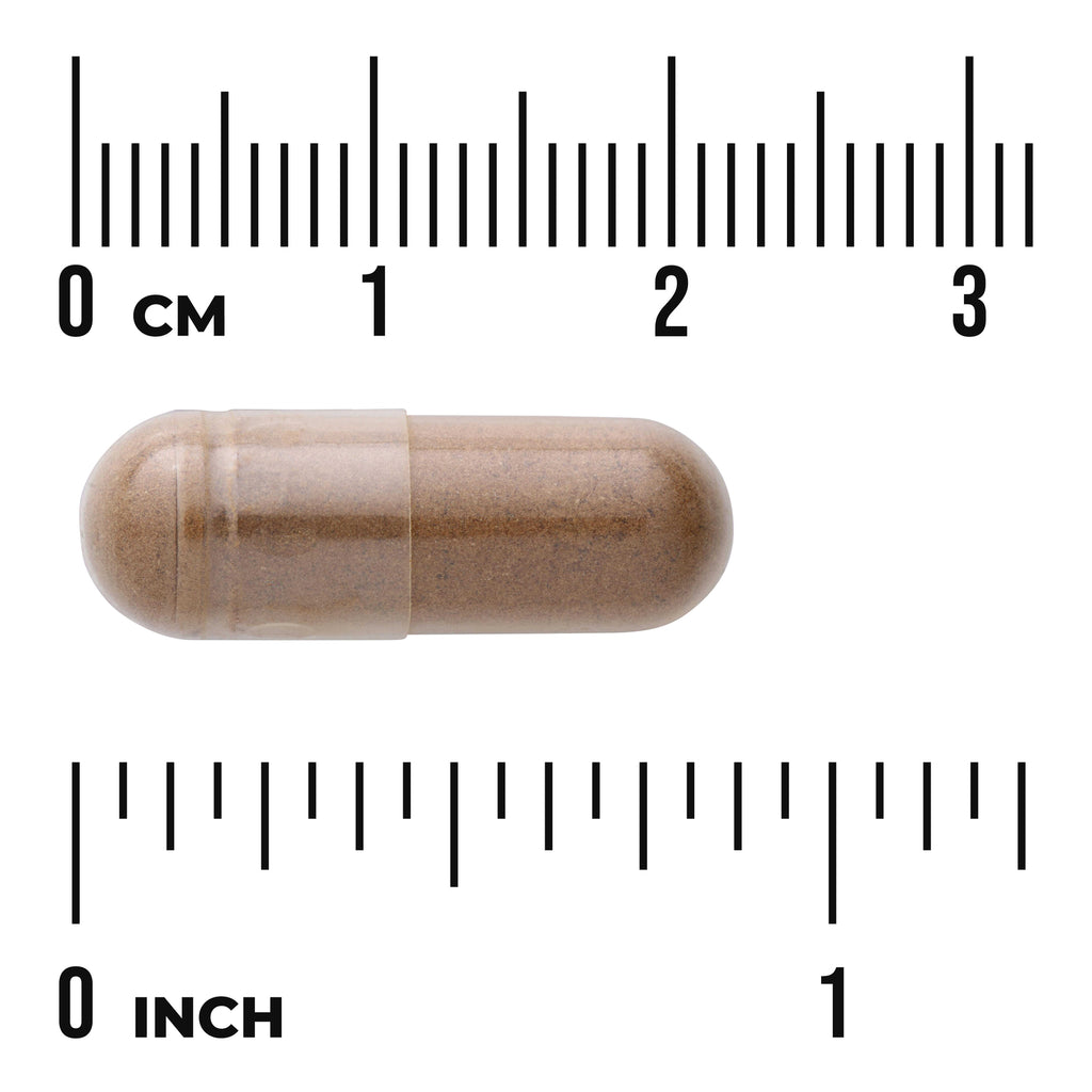 SW531 | Clear capsule with brown powder shown beside cm and inch rulers - Thumbnail