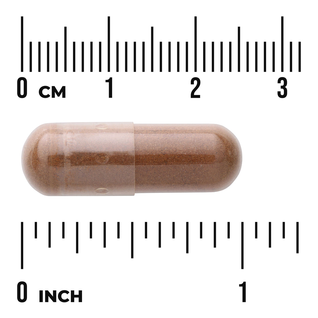 SW1747 | Brown gelatin capsule filled with brown powder aligned with metric and inch rulers to show size - Thumbnail