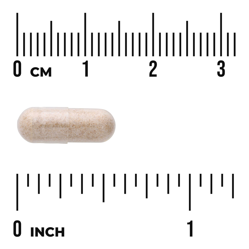SW1705 | Beige capsule shown with centimeter and inch rulers - Thumbnail