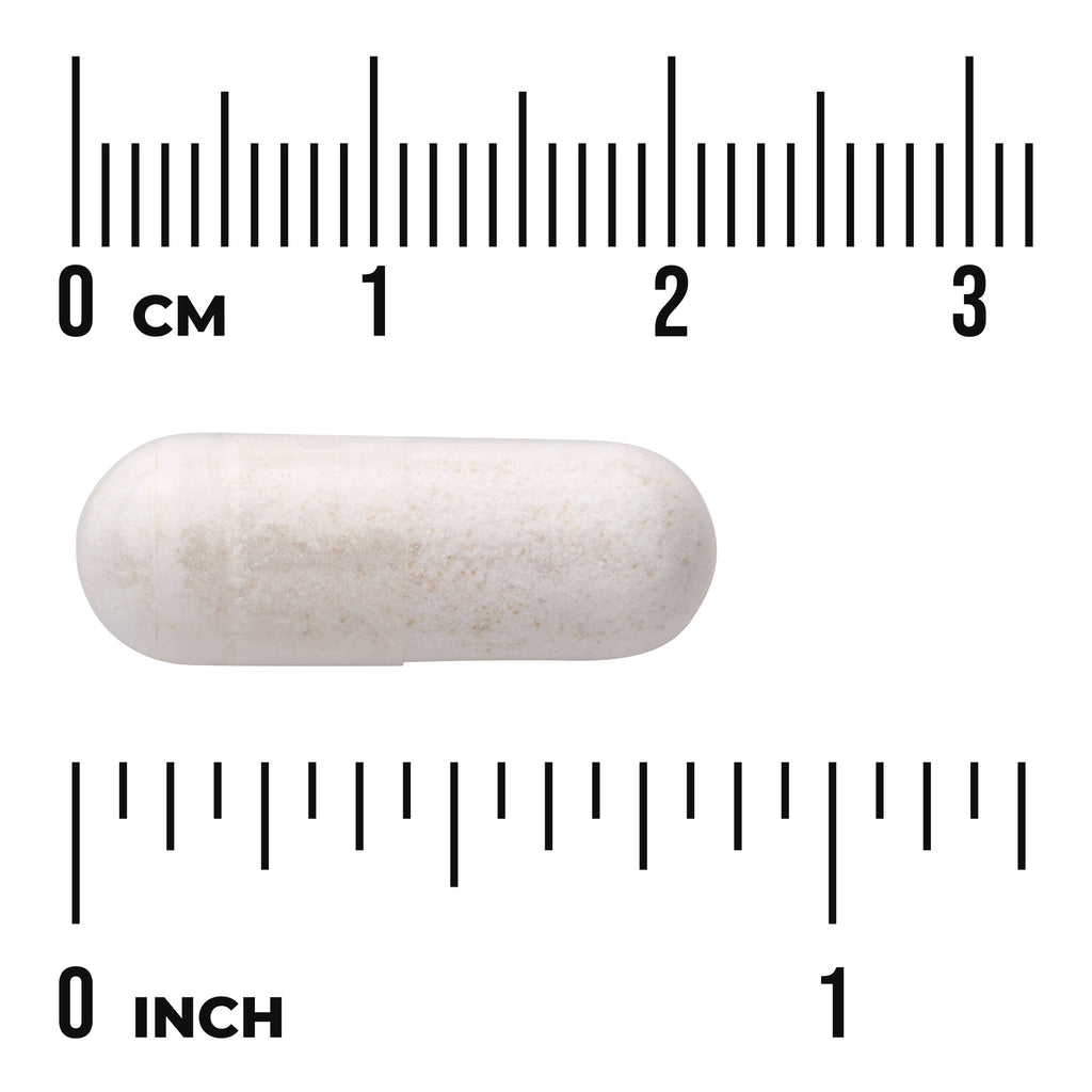 SW350 | White capsule shown with cm and inch ruler for size reference - Thumbnail