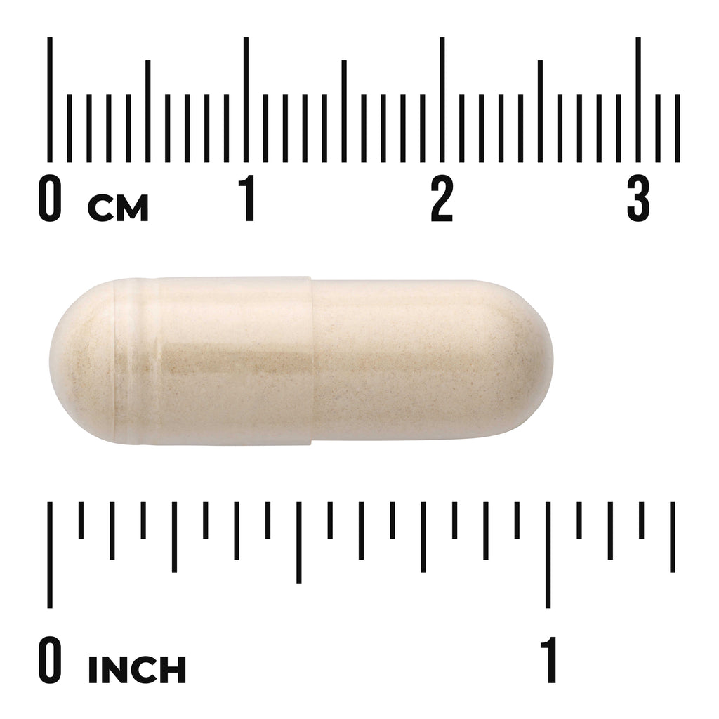 SW673 | Capsule with centimeter and inch rulers for size reference - Thumbnail