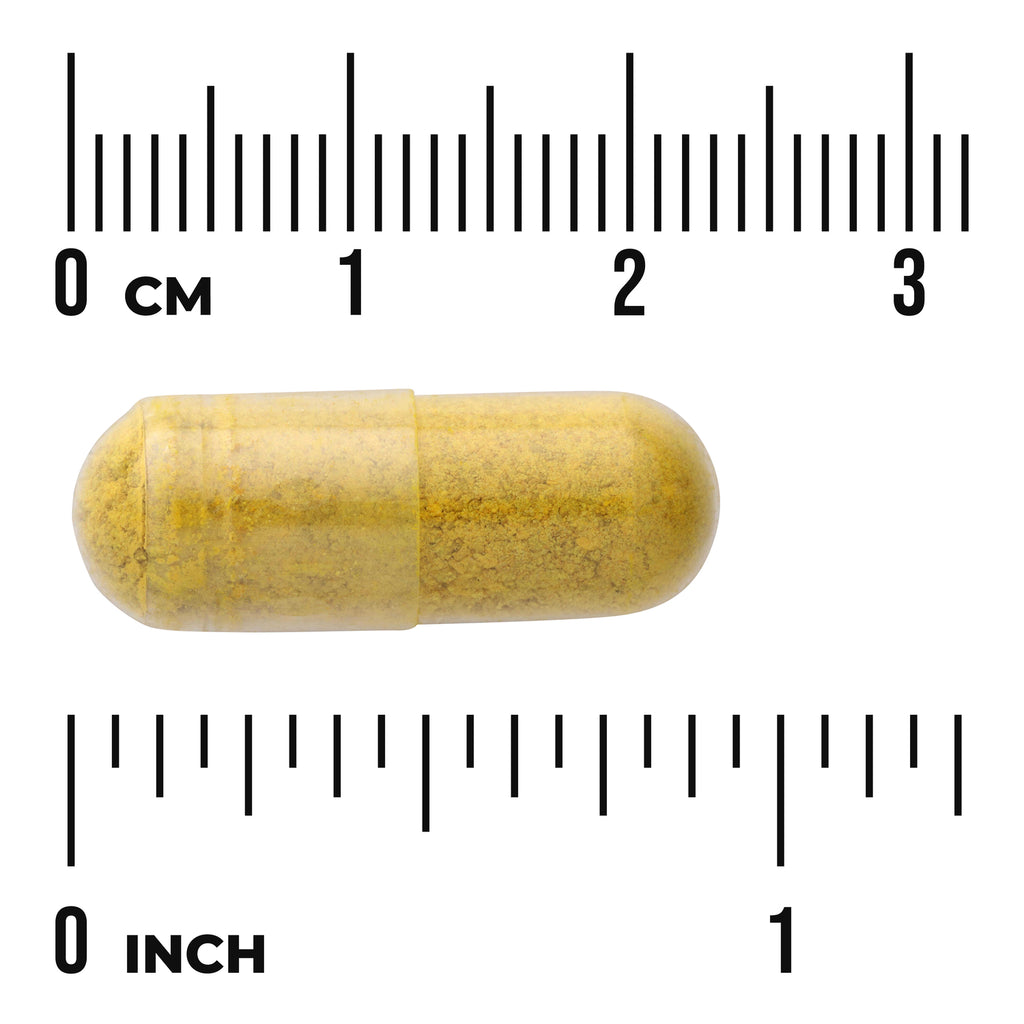 SW1411 | Yellow capsule with size scale showing 0–3 cm and 0–1 inch - Thumbnail