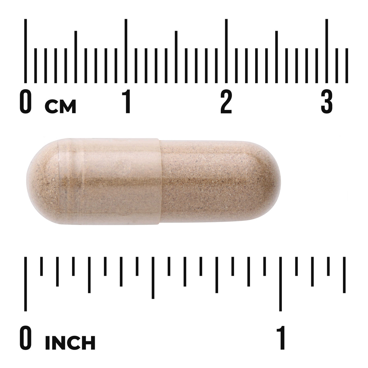 SW1386 | Capsule with powder shown next to cm and inch ruler for size