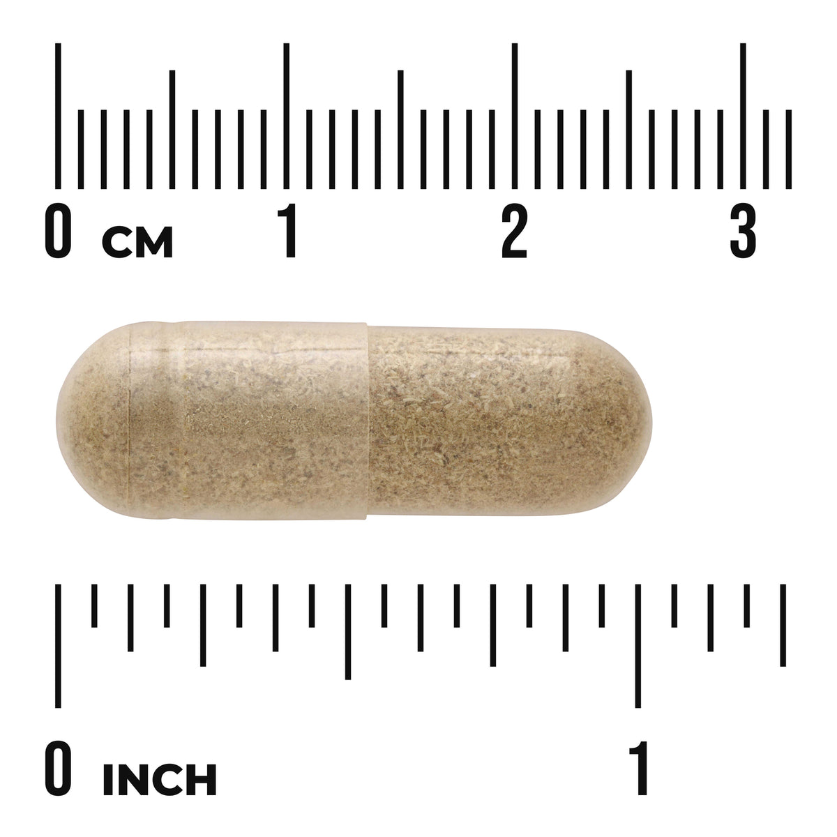 SW965 | Beige capsule with size scale, 03 CM and 01 INCH rulers