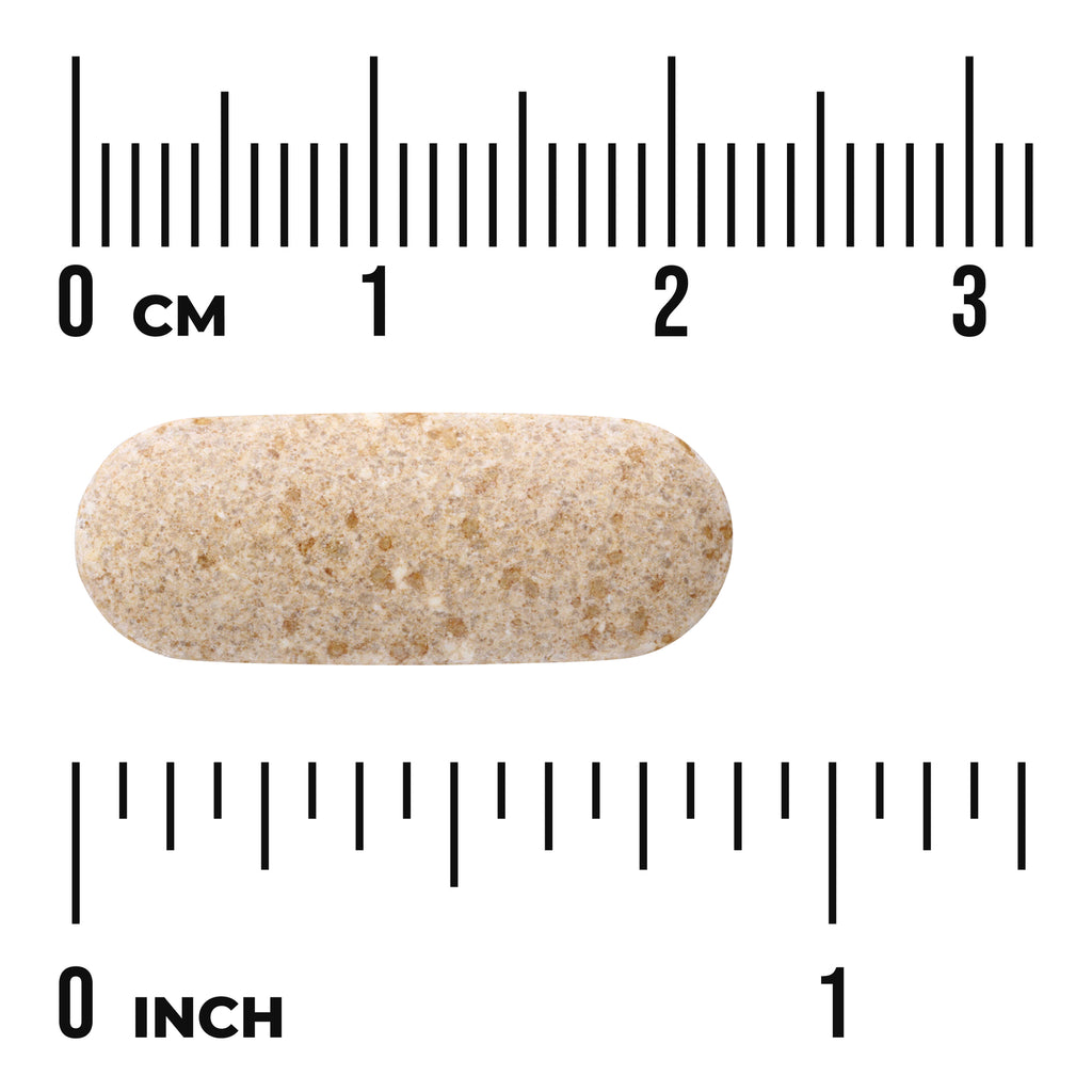 SW883 | Beige oblong tablet shown to scale with centimeter and inch rulers - Thumbnail